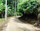 - ที่ดินเนินเขาวิวพาโนรามา 360 โอบล้อมด้วยขุนเขาและสายน้ำจาง อ.แม่ทะ จ.ลำปาง