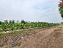 - ขายที่ดิน 44 ไร่เศษ ถนนเลียบคลอง 11 หนองเสือ ปทุมธานี