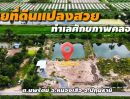 - ขายที่ดินแปลงสวย คลอง 12 ต.นพรัตน์ อ.หนองเสือ จ.ปทุมธานี เนื้อที่ 2 ไร่ 86 ตารางวา