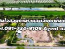 - ขายที่ดินแปลงสวย คลอง 12 ต.นพรัตน์ อ.หนองเสือ จ.ปทุมธานี เนื้อที่ 2 ไร่ 86 ตารางวา