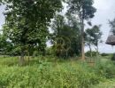 - ขายที่ดินแปลงสวย 1-0-53 ไร่ ใกล้แม่น้ำวัง ตำบลเวียงเหนือ อำเภอเมืองลำปาง จังหวัดลำปาง