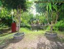 - ขายที่ดินพร้อมบ้านสวนติดคลอง ลาดกระบัง 1-1-79 ไร่ (579 ตร.ว.) ถมแล้ว รั้วครบ ใกล้สุวรรณภูมิ มอเตอร์เวย์ & ม.พระจอมเกล้าลาดกระบัง (สจล.)