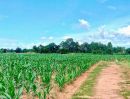 - ที่ดินราคาถูกนครราชสีมา บ้านหนองหญ้าขาว ต.ปักธงชัยเหนือ อ.ปักธงชัย 3-3-41 ไร่ เหมาะทำบ้านสวน ดินดี น้ำดี เช่นทุเรียน ฝรั่ง กล้วย มะม่วง ขนุน ม