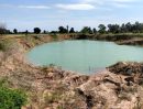 - ที่ดินราคาถูกนครราชสีมา บ้านหนองหญ้าขาว ต.ปักธงชัยเหนือ อ.ปักธงชัย 3-3-41 ไร่ เหมาะทำบ้านสวน ดินดี น้ำดี เช่นทุเรียน ฝรั่ง กล้วย มะม่วง ขนุน ม
