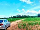 - ที่ดินราคาถูกนครราชสีมา บ้านหนองหญ้าขาว ต.ปักธงชัยเหนือ อ.ปักธงชัย 3-3-41 ไร่ เหมาะทำบ้านสวน ดินดี น้ำดี เช่นทุเรียน ฝรั่ง กล้วย มะม่วง ขนุน ม