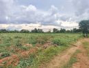 - ที่ดินราคาถูกนครราชสีมา บ้านหนองหญ้าขาว ต.ปักธงชัยเหนือ อ.ปักธงชัย 3-3-41 ไร่ เหมาะทำบ้านสวน ดินดี น้ำดี เช่นทุเรียน ฝรั่ง กล้วย มะม่วง ขนุน ม