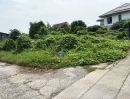 - ขายที่ดิน 226 ตร.ว. ถนนพุทธมณฑลสาย 2 ซอย 6 เขตบางแค กรุงเทพมหานคร
