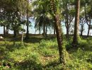  - ขายที่ดินเปล่า 35 ไร่ ทำเลดี ติดหาด เกาะโหลน อำเภอเมือง จังหวัดภูเก็ต