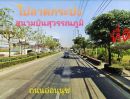 - ขายที่ดินเขตประเวศ อ่อนนุช 88 เนื้อที่ 6-0-49 ไร่ 200 ล้านบาท