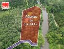 - สวนผลไม้ ริมคลองบ้านตาล เนื้อที่ 3 - 2 - 64.1 ไร่ เหมาะสำหรับทำสวนเกษตร หรือทำบ้านสวน