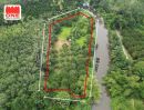 - สวนผลไม้ ริมคลองบ้านตาล เนื้อที่ 3 - 2 - 64.1 ไร่ เหมาะสำหรับทำสวนเกษตร หรือทำบ้านสวน
