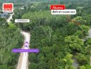 - สวนผลไม้ ริมคลองบ้านตาล เนื้อที่ 3 - 2 - 64.1 ไร่ เหมาะสำหรับทำสวนเกษตร หรือทำบ้านสวน