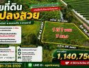 - ขายที่ดินแปลงสวย ทำเลดี เนื้อที่ 1 ไร่ 1 งาน 7 ตารางวา ตำบลนพรัตน์ อำเภอหนองเสือ จังหวัดปทุมธานี