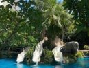 - ให้เช่า คอนโด Pet Friendly Riviera Wongamat Beach เฟอร์นิเจอร์ครบ พร้อมเข้าอยู่