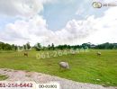 - ที่ดินตะกุด 4 ไร่ 229.5 ตร.ว. สระบุรี ใกล้โรบินสัน ไลฟ์สไตล์ สระบุรี