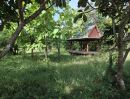  - ขายที่ดินพร้อมบ้าน ใกล้อบต.บ้านกร่าง ศรีประจันต์ สุพรรณบุรี
