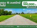 - ขายที่ดิองครักษ์ นครนายก 100 ตรว ใกล้ตลาดต้นไม้ เจ้าของขายเอง