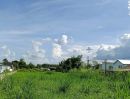 - ขายที่ดินตำบลป่าไผสันทรายติดถนนสองด้านพร้อมโอน