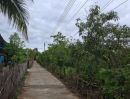 - ขายที่ดินตำบลป่าไผสันทรายติดถนนสองด้านพร้อมโอน