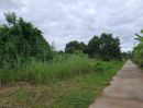- ขายที่ดินตำบลป่าไผสันทรายติดถนนสองด้านพร้อมโอน