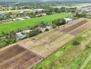 - ที่ดินวิวสวนวิวนา คลอง 11 หนองเสือ เหมาะทำบ้านสวน
