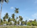  - ที่ดินติดทะเล 6 ไร่ เกาะสมุย ใกล้หาดละไม 10 นาที