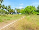  - ที่ดินติดทะเล 6 ไร่ เกาะสมุย ใกล้หาดละไม 10 นาที