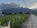 - ขายที่ดินวิวสวย 112ตร.ว. แม่สาย เชียงราย