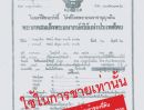 - ขายที่ดิน 2 ไร่ ผังสีแดง ซอยเลี่ยงเมือง ปากเกร็ด 18 นนทบุรี