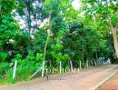 - ขายด่วน! ที่ดินเปล่าแปลงใหญ่ บ้านห้วยหล่อ ตำบลชมพู อำเภอเมือง จังหวัดลำปาง
