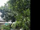- ขายบ้านเดี่ยวบนที่ดินผืนใหญ่ 79 ตร.วา หายากในเมือง สามารถเข้าออกจากถนนรามอินทราและเกษตรนวมินทร์ ใกล้สถานีรถไฟฟ้ารามอินทรา กม.4 เขตบางเขน