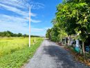 - ที่ดินวิวสวนวิวนา คลอง 11 หนองเสือ เหมาะทำบ้านสวน