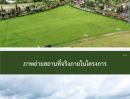  - ขายที่ดิน 21ไร่ 85ตรวด่วน ที่อำเภอเขาค้อ จังหวัดเพรชบูรณ์