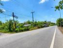 - ขายที่ดินติดถนนลาดยางเรียบคลอง 12 หนองเสือ วิวคลอง ติดถนน 2 ด้าน ทำเลดีเหมาะค้าขาย ร้านอาหาร บรรยากาศดี อยู่ใกล้แหล่งชุมชน
