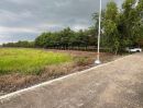 - ที่ดินคลอง 11 หนองเสือ ติดคลอง ไกล้ชุมชนเหมาะทำบ้านสวน