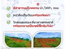  - ขายที่ดินเปล่า 2 ไร่ ใกล้หนองกวาง ทำเลดี จ.ราชบุรี