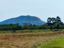 - ที่ดินวิวเขาใหญ่ ปากพลี นครนายก ติดลำรางสาธารณะทุกแปลง