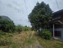  - ขายที่ดินติดถนนสุขุมวิทบางพระ เมืองชลบุรี เนื้อที่ 1-3-61 ไร่ (761 ตรว.) ขายเหมา 30 ล้าน เมืองชลบุรี 20110