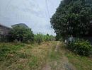  - ขายที่ดินติดถนนสุขุมวิทบางพระ เมืองชลบุรี เนื้อที่ 1-3-61 ไร่ (761 ตรว.) ขายเหมา 30 ล้าน เมืองชลบุรี 20110