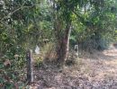 - ขายที่ดิน 1-2-0ไร่ เมืองอุดรธานี บ้านเลื่อม