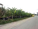 - ขาย ที่ดิน 1 ไร่ ถมแล้ว หลังเดอะวอล์ค ราชพฤกษ์