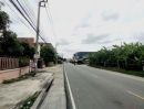 - ขาย ที่ดิน 1 ไร่ ถมแล้ว หลังเดอะวอล์ค ราชพฤกษ์