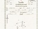 - ประกาศขายที่ดินสวนปาล์ม 5ไร่ มี2โฉนด ต.พะโต๊ะ อ.พะโต๊ะ จ.ชุมพร