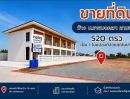 - ขายด่วน ที่ดิน ข้าง ม.ราชมงคลฯ สามชุก 520 ตร.ว. จ.สุพรรณบุรี นักลงทุนต้องดู