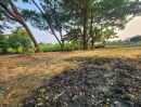  - ขายที่ดิน 220 ตร.ว. ติดคลองทวีวัฒนา แปลงสวย ราคาเจ้าของ ปล่อย ขาย ราคาถูก ใกล้ถนนพรานนก - สาย 4 ใกล้ ม.กรุงเทพธน ใกล้ ม.มหิดล ทำเลทอง ทำเลมีอนาคต