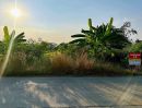 - ที่ดินคลอง11 ลำลูกกา ปทุมธานี(ฝั่งตะวันออก) 3 ไร่ 227 ตร.ว (ด้านหน้าติดถนน หลังติดคลอง)ไร่ละ 3.2 ล้านบาท
