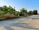 - ที่ดินคลอง11 ลำลูกกา ปทุมธานี(ฝั่งตะวันออก) 3 ไร่ 227 ตร.ว (ด้านหน้าติดถนน หลังติดคลอง)ไร่ละ 3.2 ล้านบาท