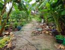 - ขายบ้านสวนพร้อมที่ดิน ทำเลดี อำเภอกุยบุรี จังหวัดประจวบคีรีขันธ์