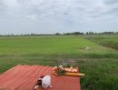 - ขายที่ดิน 11 ไร่ 3 งาน อ.บางกระทุ่ม จ.พิษณุโลก ทำเลดี บรรยากาศร่มรื่น เหมาะสำหรับการลงทุน