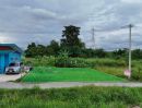 - ขายที่ดิน 60 ตร.ว. นาเริก พนัสนิคม ใกล้สี่แยกเกาะโพธิ์ 331 (1.2 กม )